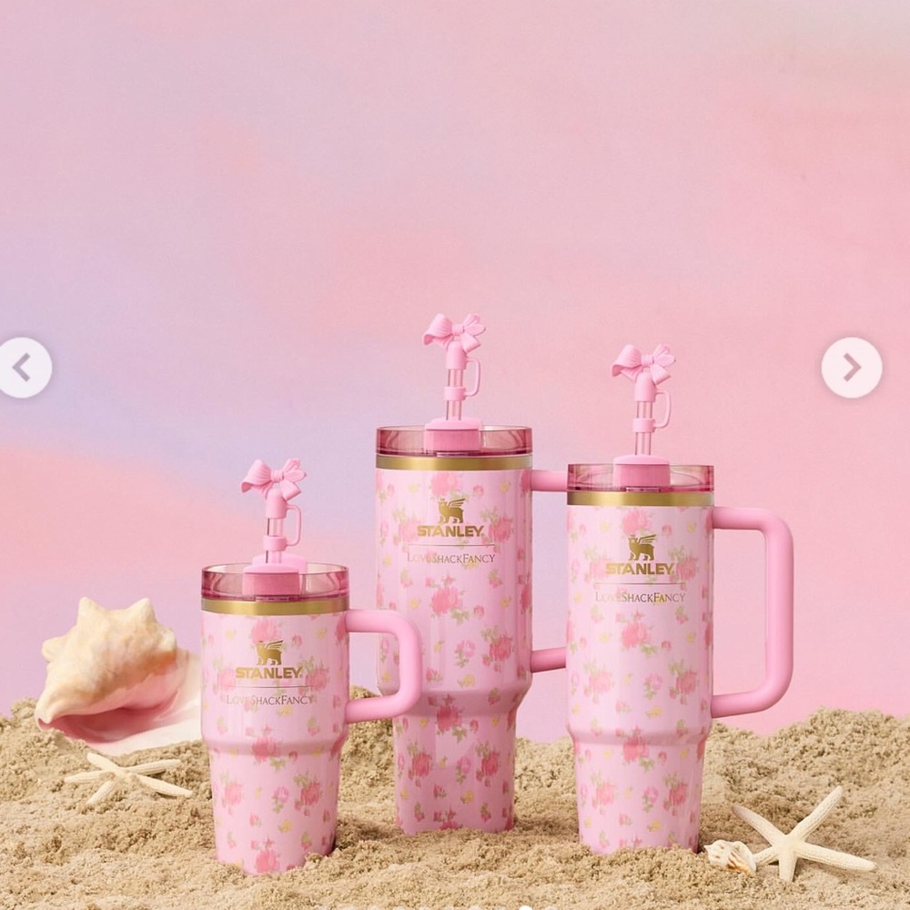 LOVESHACKFANCY STANLEY TUMBLER CUP Set of 3